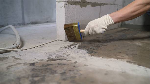 24/7 Emergency Interior Drainage System experts in Allendale, MI
